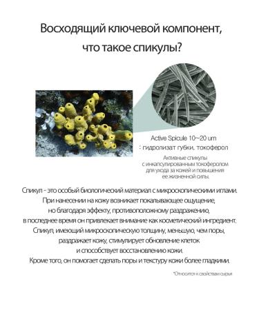 DERMA FACTORY Cica Spicule 8000PPM Cica Spicule - Buy Online on GoSupps.com