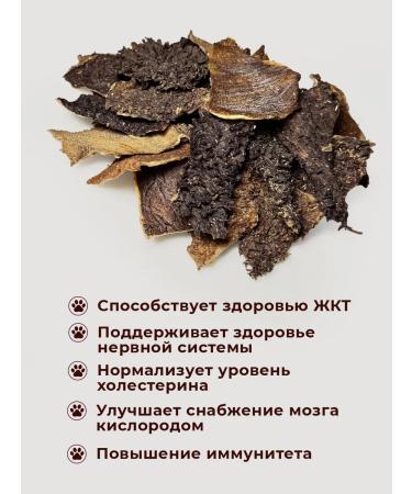 Favoritefood Beef scar for dogs of delicacy - Buy Online on GoSupps.com