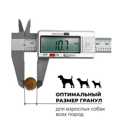 GO'KITCHEN Feed for puppies and adult dogs with lamb and vegetables 9.98kg - Buy Online on GoSupps.com