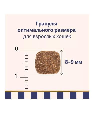 Taormina Bezernary food for sterilized cats with turkey 4 kg - Buy Online on GoSupps.com