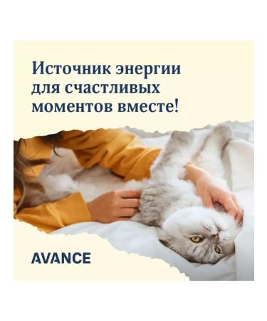 Advance Holistic Dry food for sterilized cats turkey rice 5kg - Buy Online on GoSupps.com