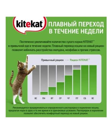Kitekat Wet food for cats tidy lamb in sauce 85 g x 28pcs - Buy Online on GoSupps.com