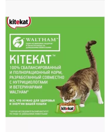 Kitekat Wet food for cats tidy lamb in sauce 85 g x 28pcs - Buy Online on GoSupps.com