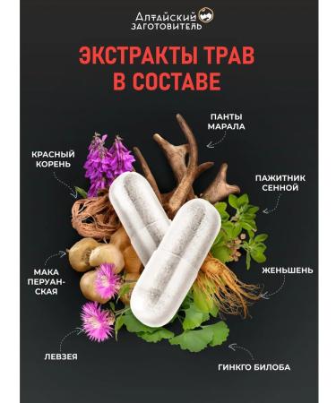 Altai procurement officer Testobuster phytocomplex for men 60 capsules - Buy Online on GoSupps.com