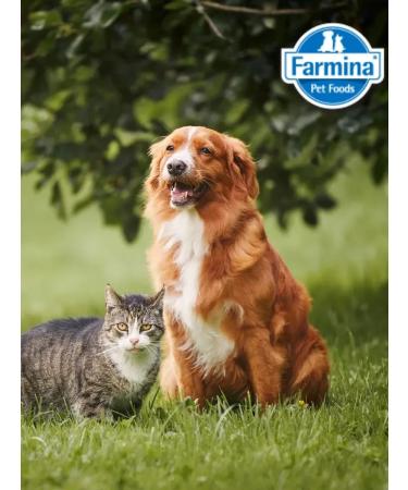 Farmina N&D Ocean Bezernovaya for cats 1.5 kg - Buy Online on GoSupps.com