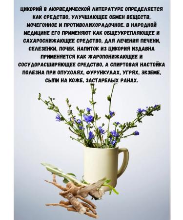 Relish Classic chicory 2pcs 100g - Buy Online on GoSupps.com