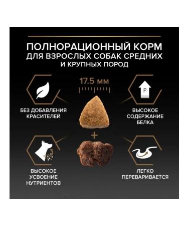 PRO PLAN Dog food for dry medium and large beef rocks 10 kg - Buy Online on GoSupps.com