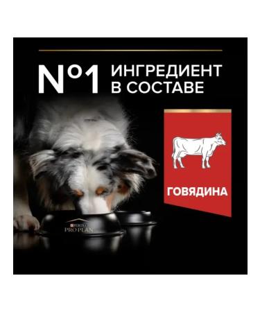 PRO PLAN Dog food for dry medium and large beef rocks 10 kg - Buy Online on GoSupps.com
