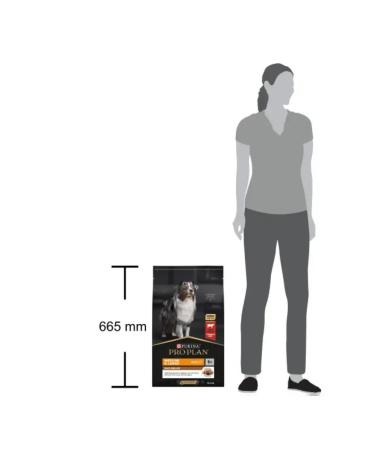 PRO PLAN Dog food for dry medium and large beef rocks 10 kg - Buy Online on GoSupps.com