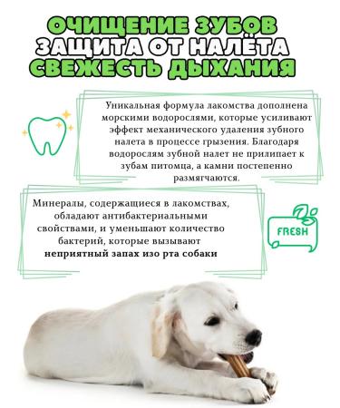 Nature's Protection A set of dried chewing treats for dogs - Buy Online on GoSupps.com