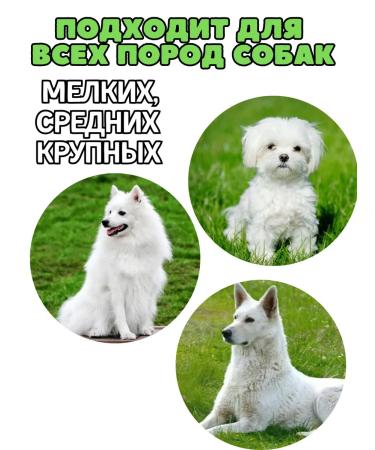 Nature's Protection A set of dried chewing treats for dogs - Buy Online on GoSupps.com