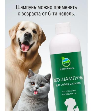 Green Day Shampoo for dogs and cats with chlorhexidine 4% without SLS Sles - Buy Online on GoSupps.com