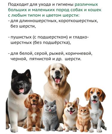 Green Day Shampoo for dogs and cats with chlorhexidine 4% 1 liter - Buy Online on GoSupps.com