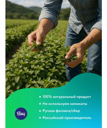 Floris Natural stevia (leaves) sugar -substituter sweetener - Buy Online on GoSupps.com