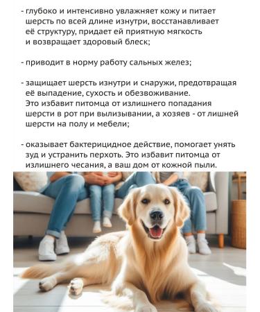 Green Day Shampoo for dogs and cats with chlorhexidine 4% - 1 liter - Buy Online on GoSupps.com