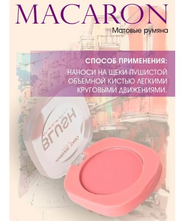 VIVIENNE SABO Macaron blush tone 02 - Buy Online on GoSupps.com