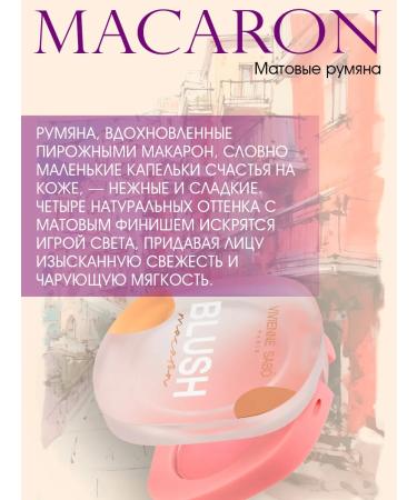 VIVIENNE SABO Macaron blush tone 02 - Buy Online on GoSupps.com
