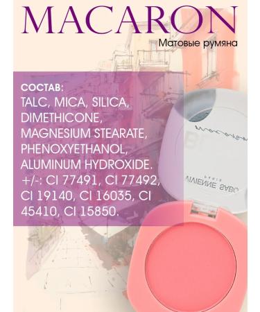 VIVIENNE SABO Macaron blush tone 02 - Buy Online on GoSupps.com