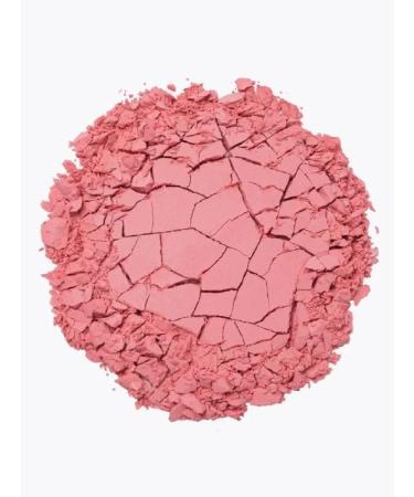 VIVIENNE SABO Macaron blush tone 02 - Buy Online on GoSupps.com