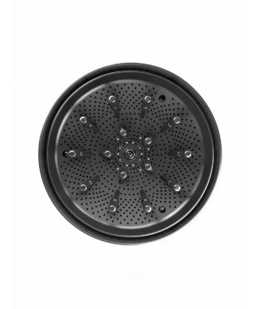 PARLUX Professional hair dryer Digitalyon Silver + diffuser - Buy Online on GoSupps.com