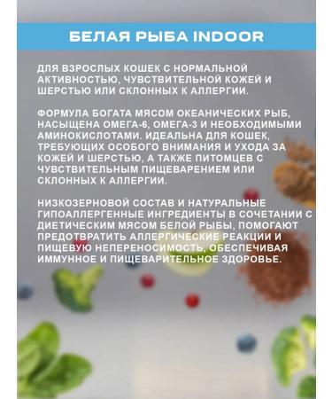 Grandorf Dry food for cats with white fish 2 kg - Buy Online on GoSupps.com