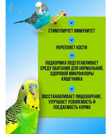 sOfari Coal for parrots - Buy Online on GoSupps.com