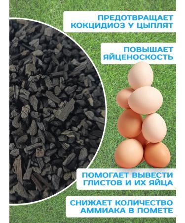 sOfari Coal for parrots - Buy Online on GoSupps.com
