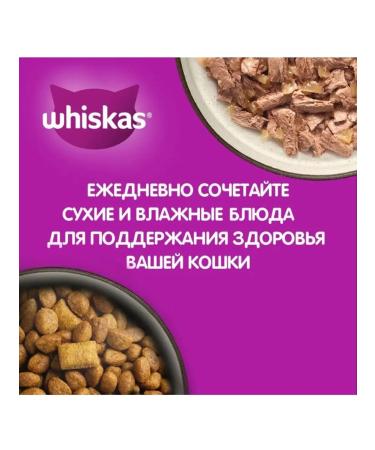 WHISKAS Dry food for sterilized cats of beef pillows1.3kg - Buy Online on GoSupps.com