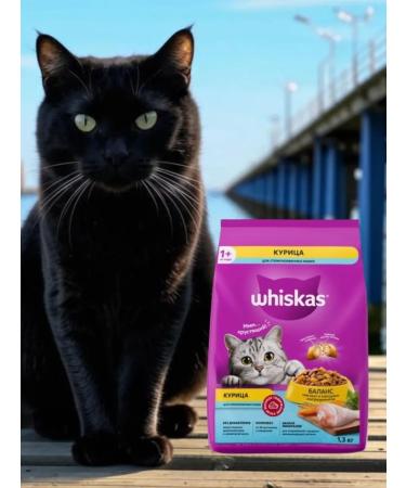WHISKAS Dry food for sterilized cats pillows chicken 1.3 kg - Buy Online on GoSupps.com