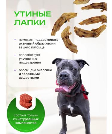 Happy Pug Paws of duck 110 g - Buy Online on GoSupps.com