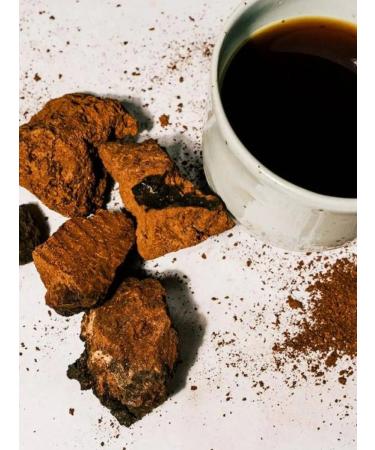 NOYER Chaga Birch Crushed 400 gr - Buy Online on GoSupps.com