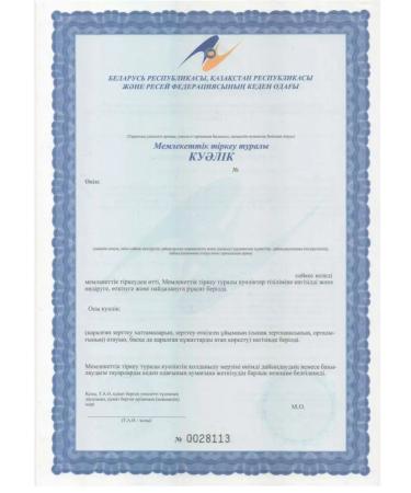 ArtLife Super Shild Activor for the immune system - Buy Online on GoSupps.com