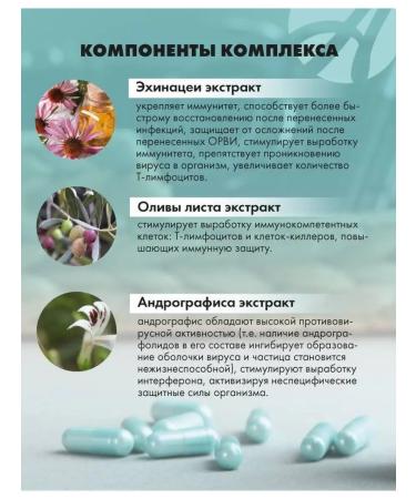 ArtLife Super Shild Activor for the immune system - Buy Online on GoSupps.com