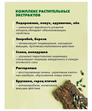 Artlife TOKFITER LUX 300 g - Buy Online on GoSupps.com