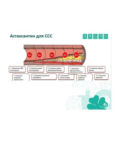 ArtLife Astamegin Epa Dha Astaxantin - Buy Online on GoSupps.com