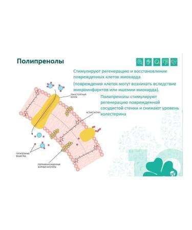 ArtLife Astamegin Epa Dha Astaxantin - Buy Online on GoSupps.com