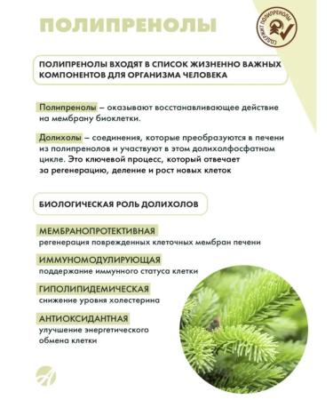 Artlife Oleopren Gepa - Buy Online on GoSupps.com