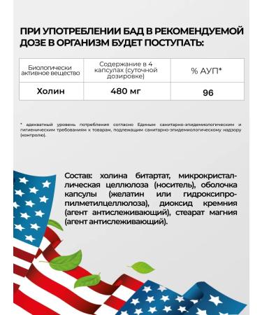 VITAMIN GARDEN Choline dietary supplement for brain and energy 120 capsules - Buy Online on GoSupps.com