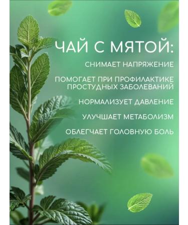 ARMPR Dried peppermint tea 100g - Buy Online on GoSupps.com