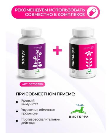 Visterra Echinacea for immunity extract in capsules 85 pcs - Buy Online on GoSupps.com