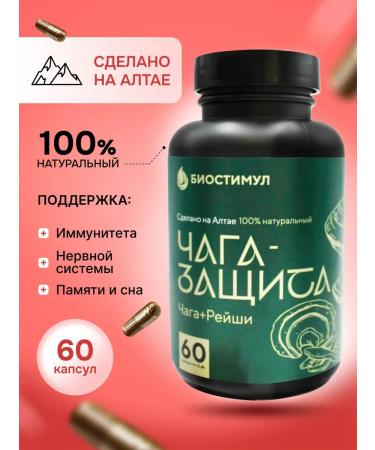 Biostimul Birch chaga in capsules Reishi mushroom