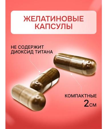 Biostimul Birch chaga in capsules Reishi mushroom - Buy Online on GoSupps.com