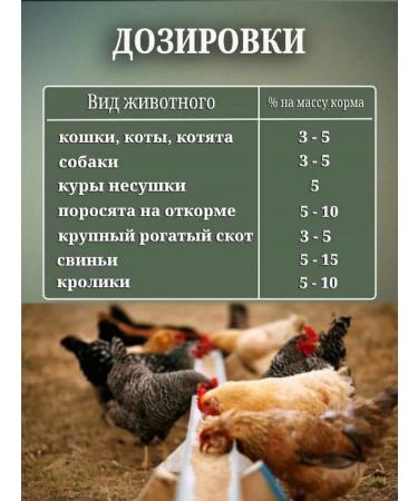 Revival Fish flour for animals and birds 3 kg - Buy Online on GoSupps.com