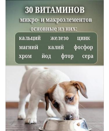 Revival Fish flour for animals and birds 3 kg - Buy Online on GoSupps.com