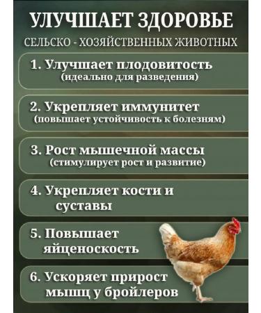 Revival Fish flour for animals and birds 3 kg - Buy Online on GoSupps.com