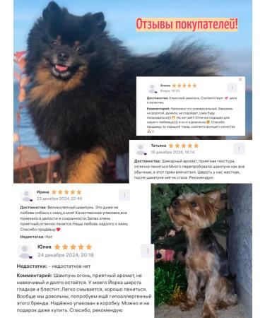 Cats&Pets Shampoo for cats and dogs against fleas and ticks - Buy Online on GoSupps.com