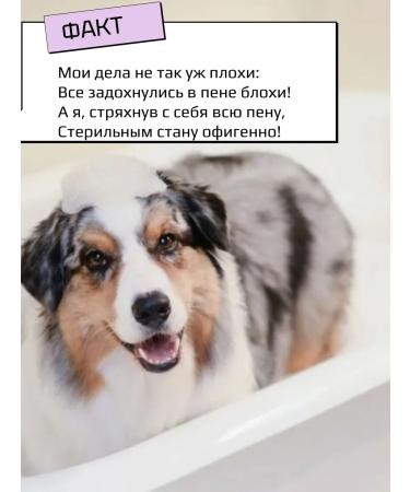 Cats&Pets Shampoo for cats and dogs against fleas and ticks - Buy Online on GoSupps.com