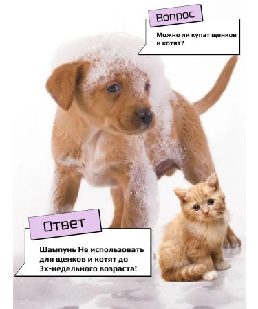 Cats&Pets Shampoo for cats and dogs against fleas and ticks - Buy Online on GoSupps.com