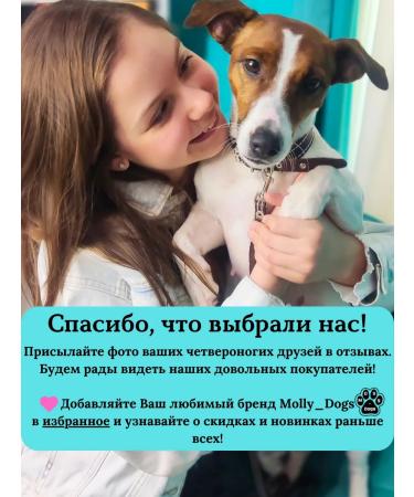 Cats&Pets Shampoo for cats and dogs deodorizing - Buy Online on GoSupps.com