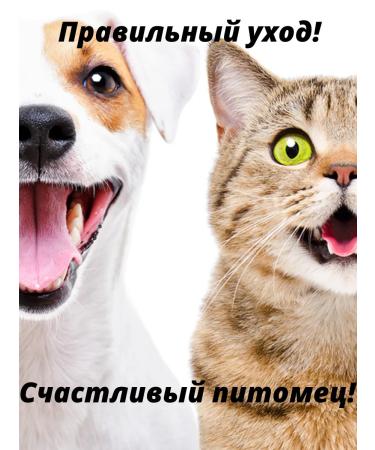 Cats&Pets Shampoo for cats and dogs deodorizing - Buy Online on GoSupps.com